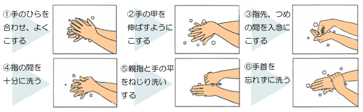 正しい手洗い手順