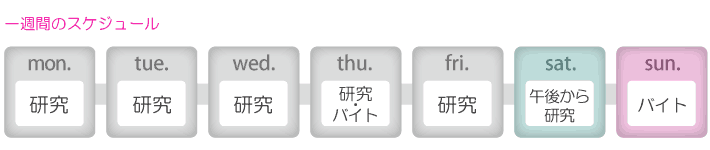 かえるさん一週間のスケジュール